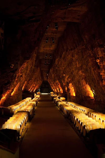 stock image Wine barrels in a winery, France