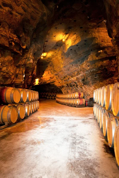 stock image Wine barrels in a winery, France