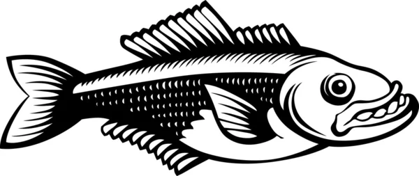 愤怒的鱼 — 图库矢量图片