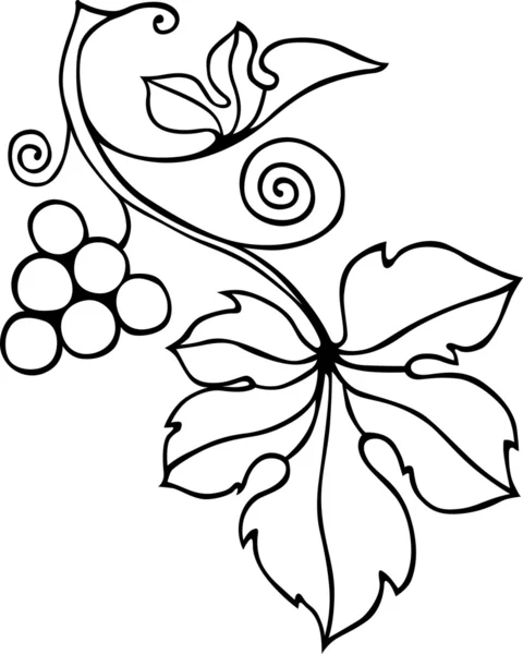 Branche de raisin — Image vectorielle
