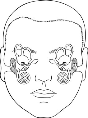 Human vestibular apparatus clipart