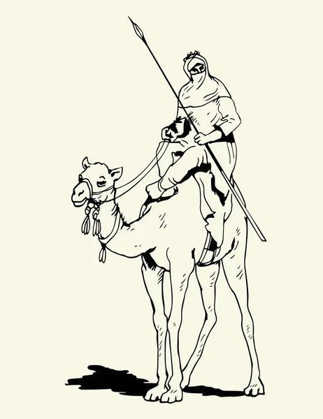 Camel rider — Stock Vector
