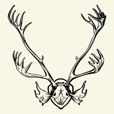 Deer horn clipart