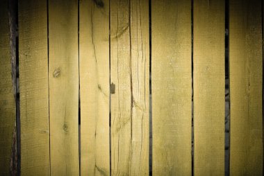 Dark green wood clipart