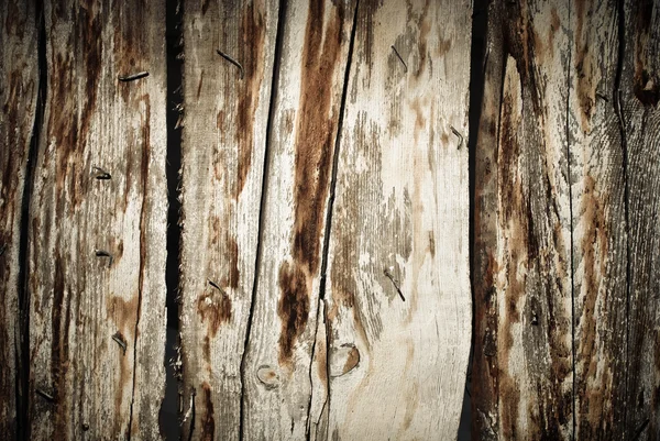 Rotten wood texture — Stock Photo, Image