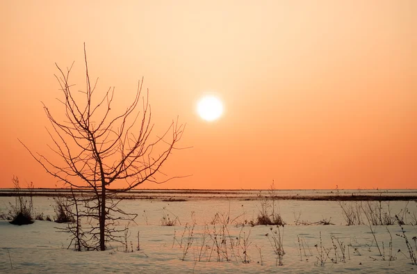 Bahar günbatımı — Stok fotoğraf
