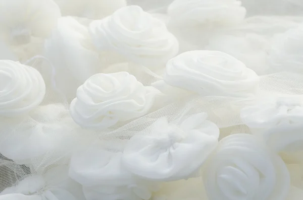 白いバラ ストック画像