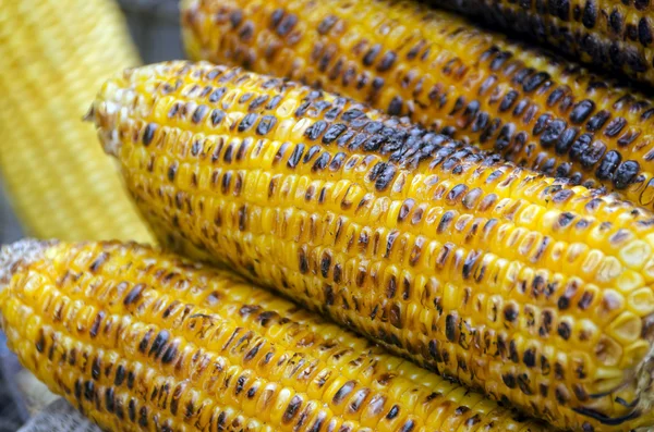 Corn Cob — Stock Photo, Image