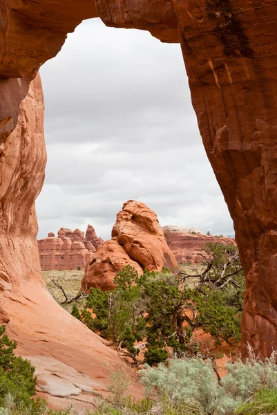 Pine Tree Arch, Utah, Estados Unidos Fotos De Stock