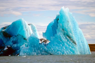 Icebergs, Jokulsarlon, Iceland clipart