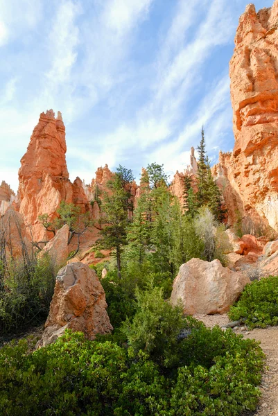Bryce Canyon hoodoos — Stock fotografie