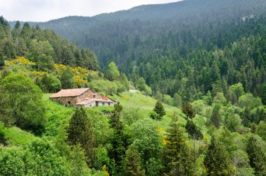 terk edilmiş evde, el serrat, İspanya