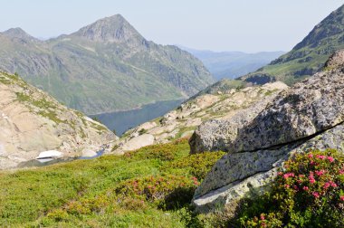 Typical view in Pyrenees mountains, Ariege, France clipart