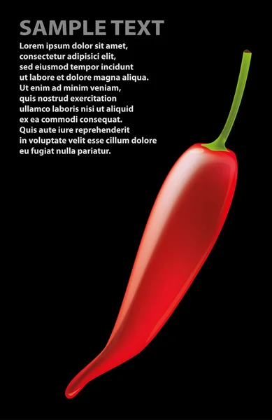 Chili peper op zwarte achtergrond — Stockvector