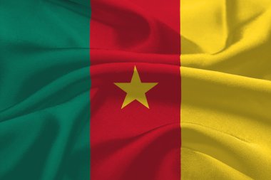 Flag of Cameroon