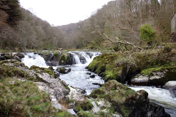 Pequeñas cascadas en Gales Occidental —  Fotos de Stock