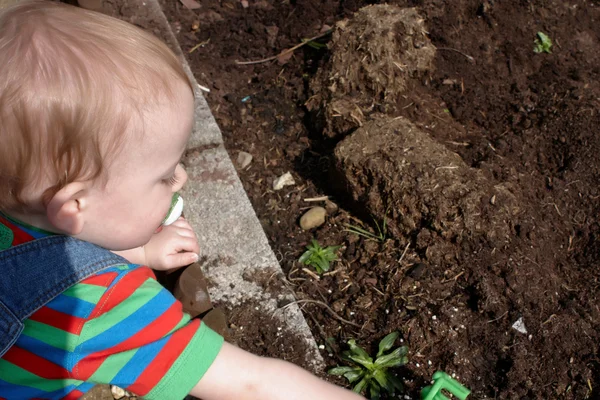 Un bambino che fa il giardino — Foto Stock