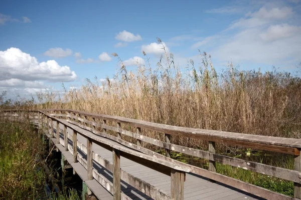 Een van hout brug — Stockfoto