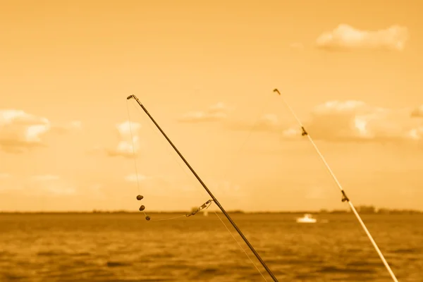 Fishing — Stock Photo, Image