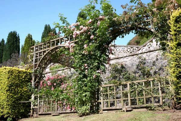 Jardín inglés típico — Foto de Stock