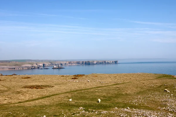 Pembrokeshire coastline — Stock Photo, Image