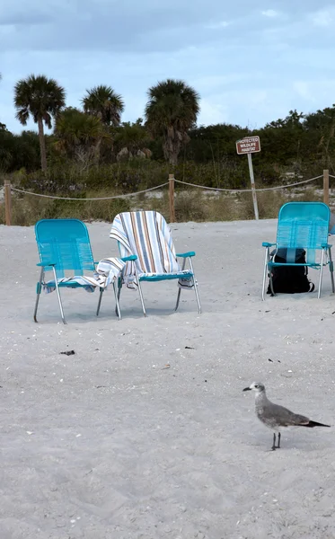 Three empty deck chairs — Zdjęcie stockowe