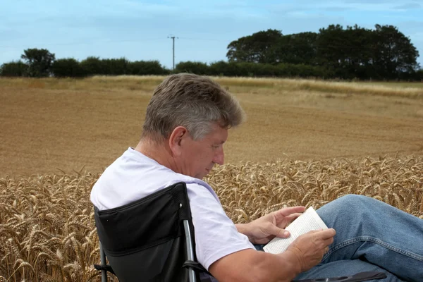 Человек сидит на кукурузном поле — стоковое фото