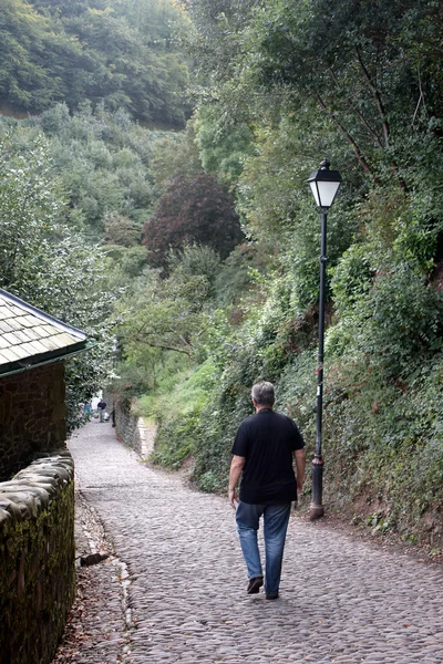 stock image A man strolling