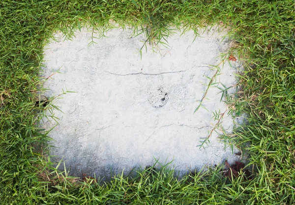 Cadre en herbe verte et vieux béton — Photo
