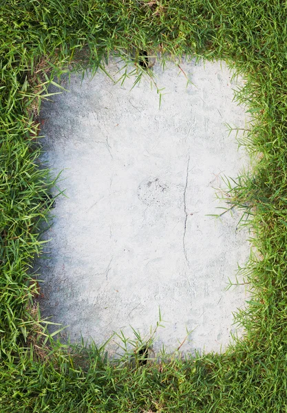 Green grass frame and old concrete — Stock Photo, Image