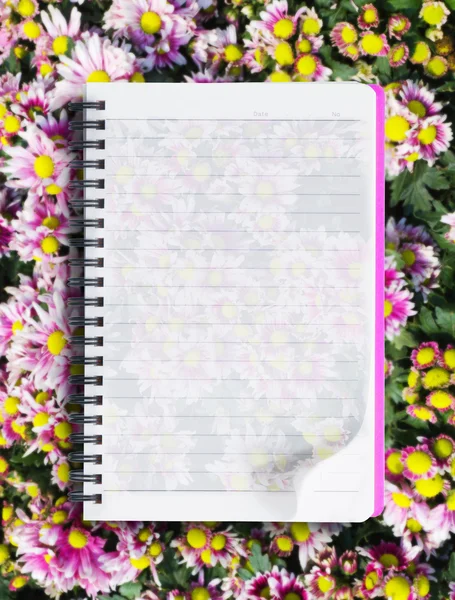 Cartea despre floarea roz — Fotografie, imagine de stoc