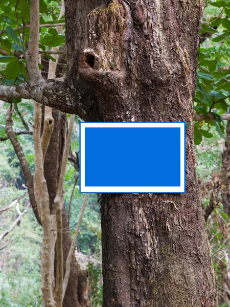 Метка на дереве в лесу — стоковое фото