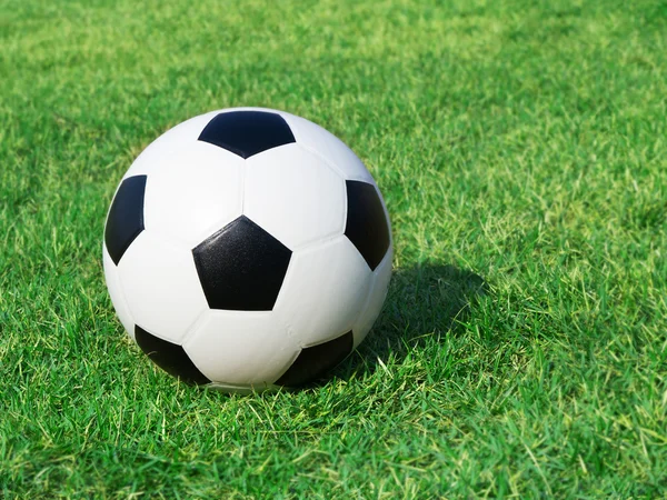 Fodbold på grønt græs - Stock-foto