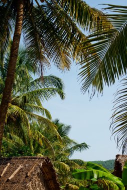 Gokarna beach 002