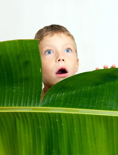 Boy and leaf — Stock Photo, Image