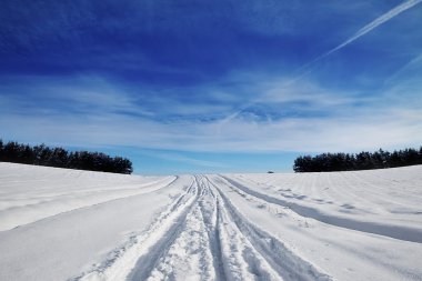 Wigry National Park winter landscape clipart