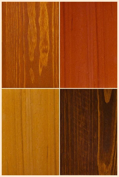 Amostras de madeira cor — Fotografia de Stock