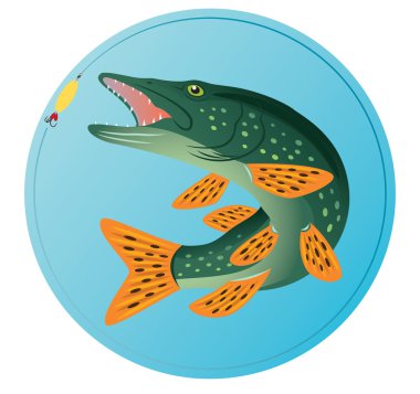 Pike fish clipart