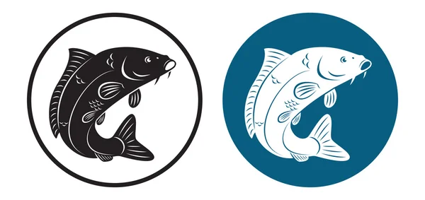 잉어 물고기 — 무료 스톡 포토
