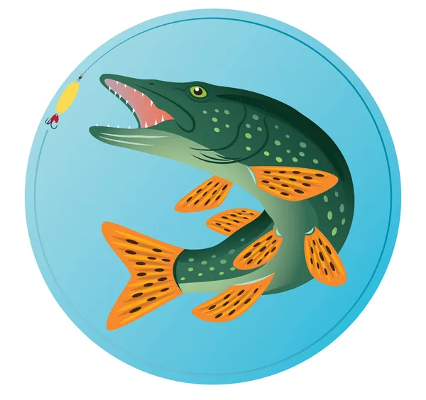 Ryby štika — Stockový vektor
