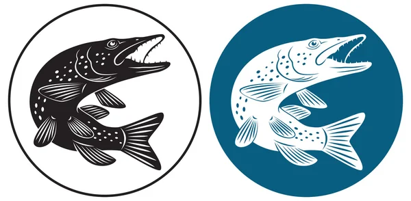 Peixe-pique —  Vetores de Stock