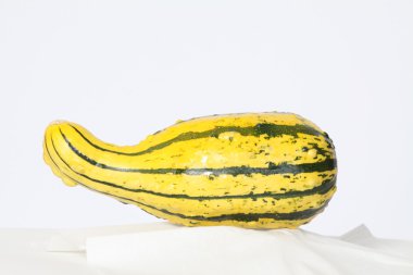 Süs kabağı/Squash (sarı)