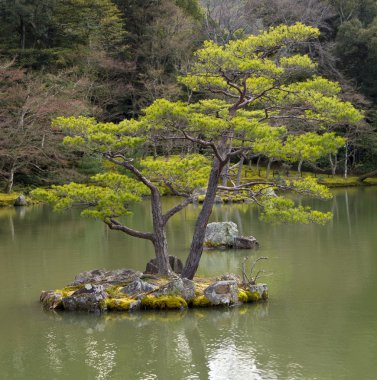 Japanese garden clipart