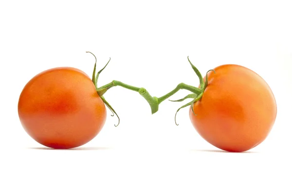 Zwei Tomaten isoliert — Stockfoto