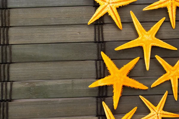 Морские звёзды . — стоковое фото