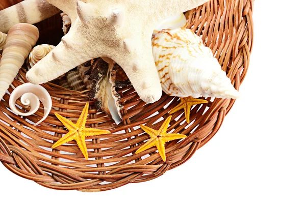 Basket with seashells. — Stock Photo, Image