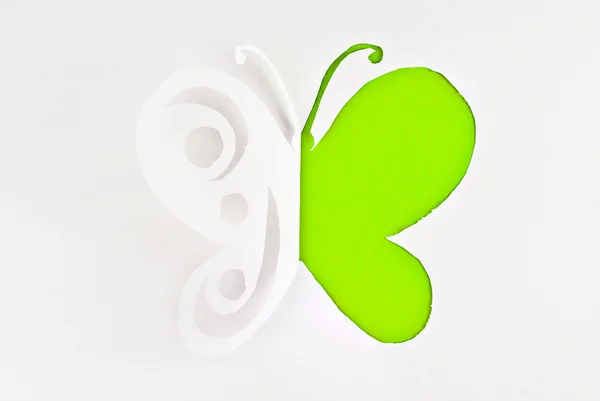 Зеленая бабочка . — стоковое фото