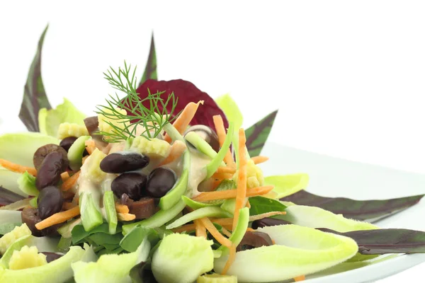 Овочевий салат з червоною квасолею — стокове фото