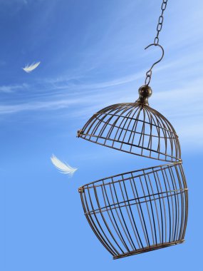 Freedom concept. Escaping from the cage clipart