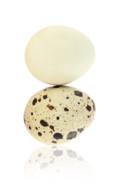 Quail eggs on white background. Damaged skin concept clipart